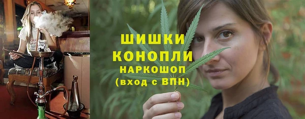хмурый Аркадак