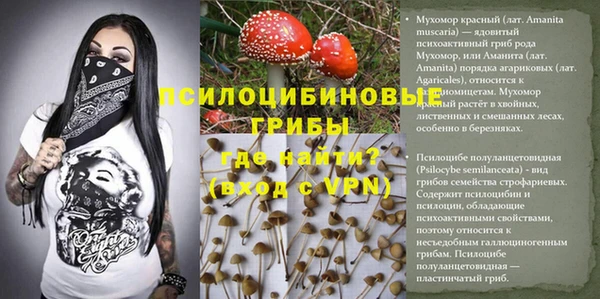 дмт Балабаново