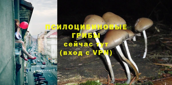 стафф Баксан