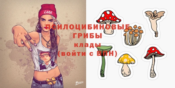 стафф Баксан